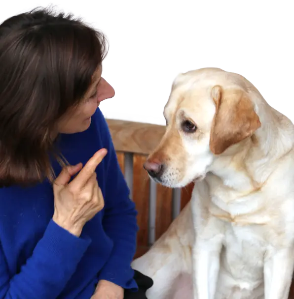Anette Leins scolding a yellow labrador